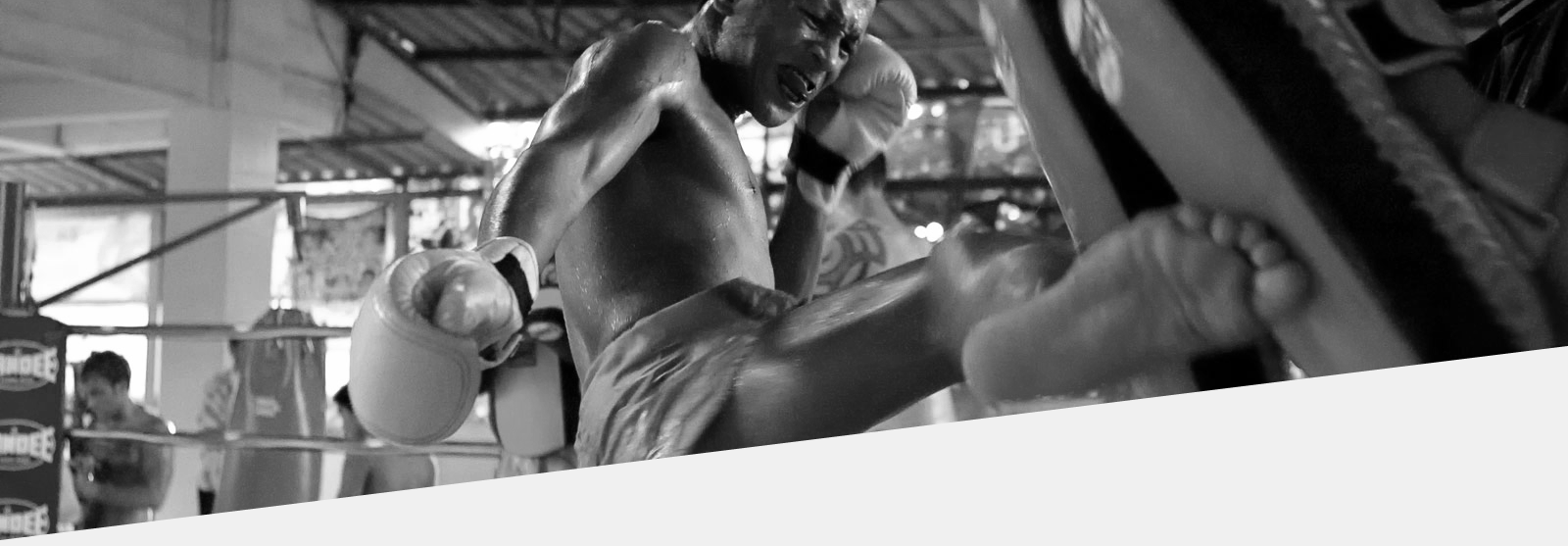 KICK PADS